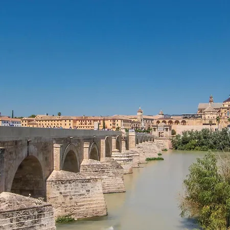 شقة C-buen Pastor